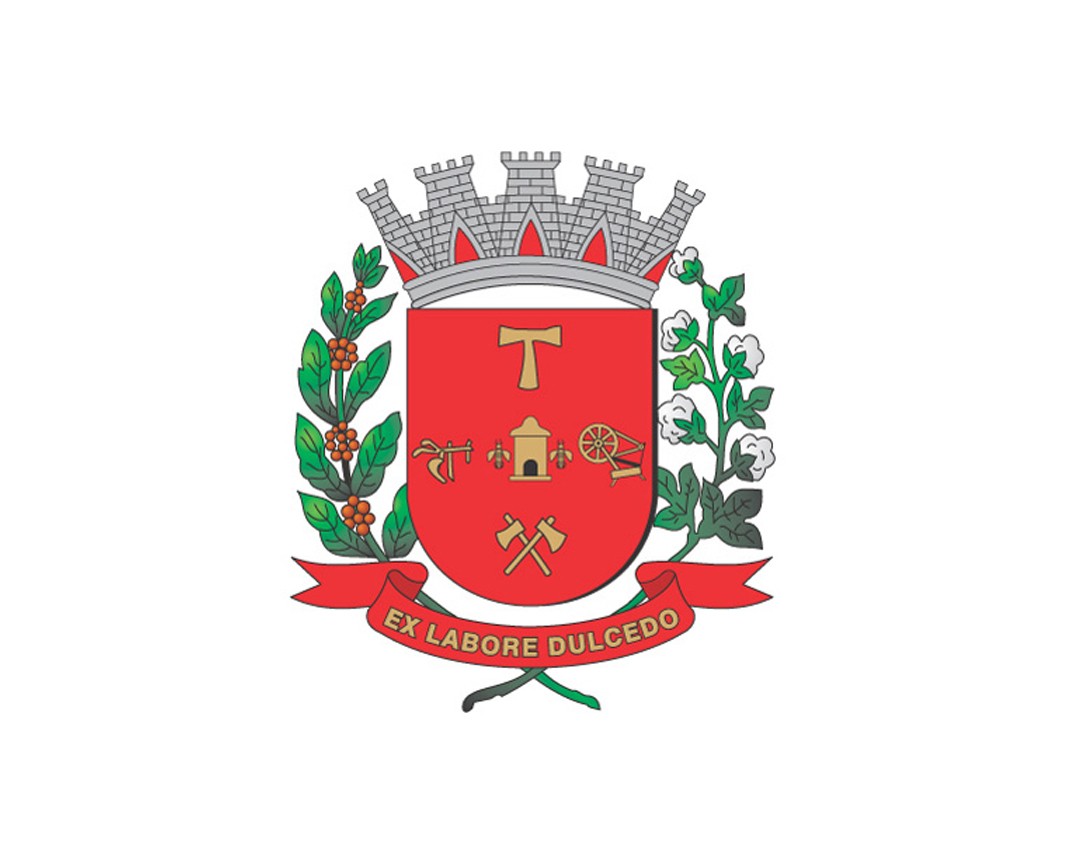 2020624_brasaocamara 